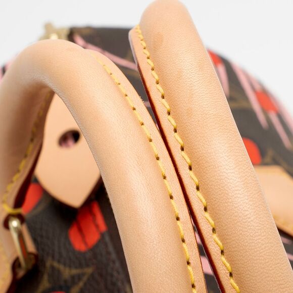 Louis Vuitton Limited Edition Monogram Canvas Jungle Dots Speedy 30 Satchel - Picture 14 of 16